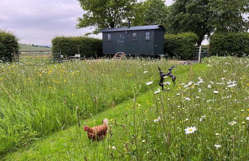 1 Bed in Hayfield 87592 - Photo 6