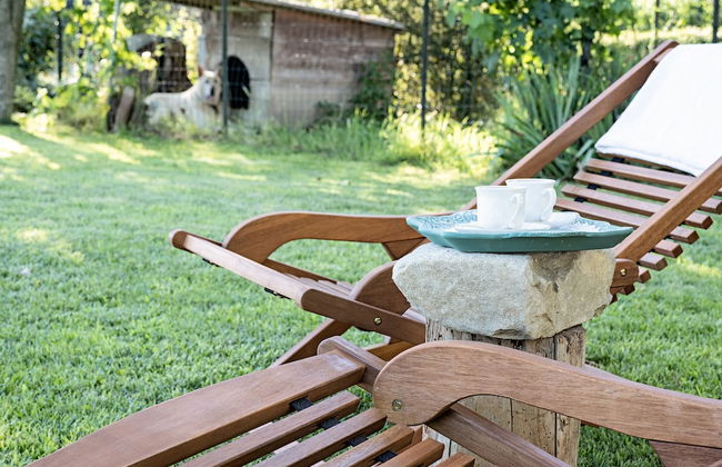 Villa Curte Nicia - Foto 65