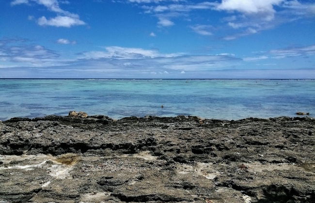 Blue West Villas - Photo 49