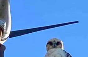 Private wrap around Lani Oasis with ocean view - Foto 25