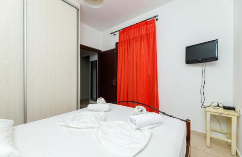 Bougainvillea - Foto 8