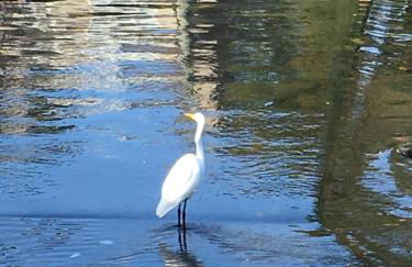 Studio Flat Above Historic Cider Mill - Foto 39