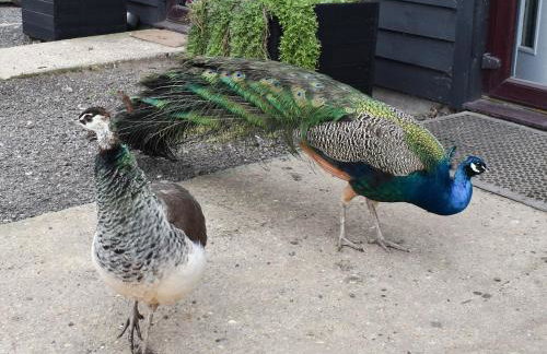 Hare Lodge - Uk30604 - Foto 12