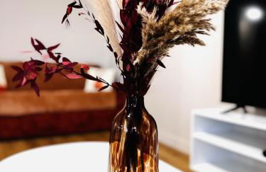 Le Terracotta cocon moderne à 2 pas de la Gare ligne directe GENÈVE-LYON-PARIS - Foto 25