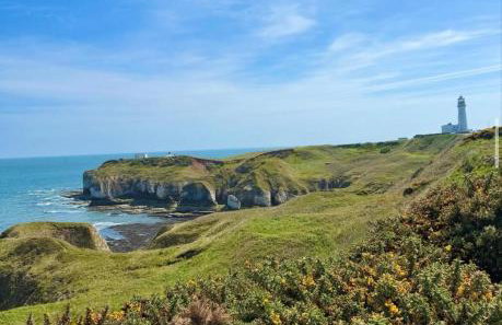 Autumn Cottage - Photo 38