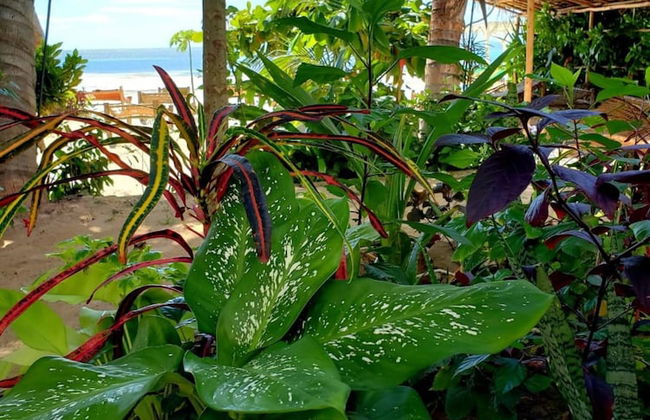 Biserka House - Foto 22