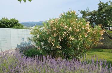 A 5 Minutes des Ocres Gïte La Charite Gordes Roussillon - Foto 37