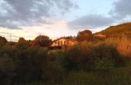 La Tinaia Country House - Foto 111