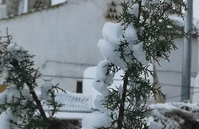 Casa Rural El Llano Quintanilla - Photo 31