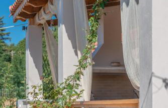 Sempreviva - Foto 46