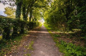 Gateway to the Suffolk Coast - Photo 29