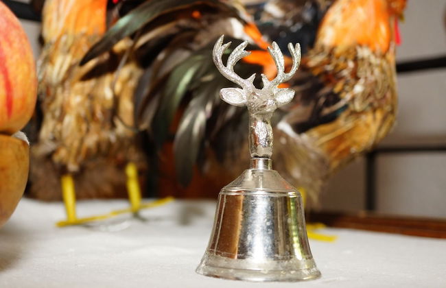 Alpbach Bergwald - Foto 3