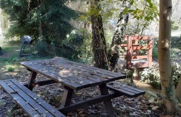 Le chant de la rivière - Foto 32