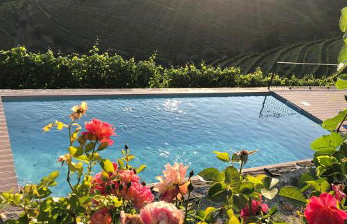 Quinta do Barrocal - Casa de Campo - Foto 8