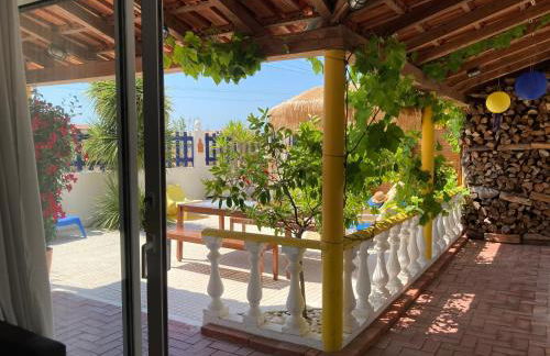 Bico das flores - Foto 64