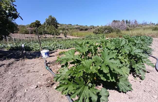 agriturismo le campanelle - Foto 70