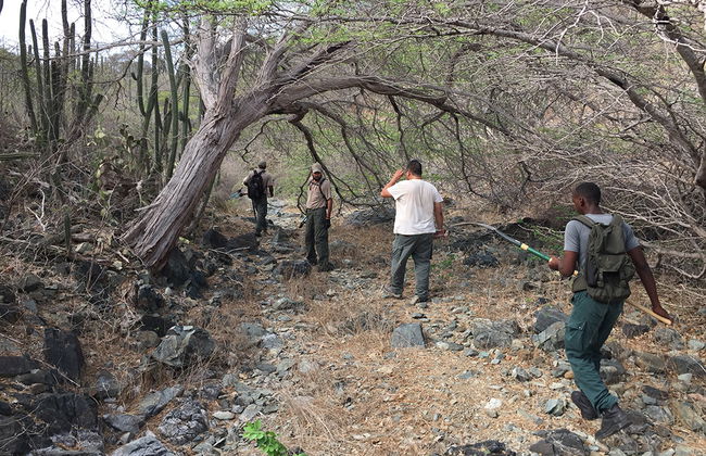 Escursione nel Parco Nazionale di Arikok - Foto 3