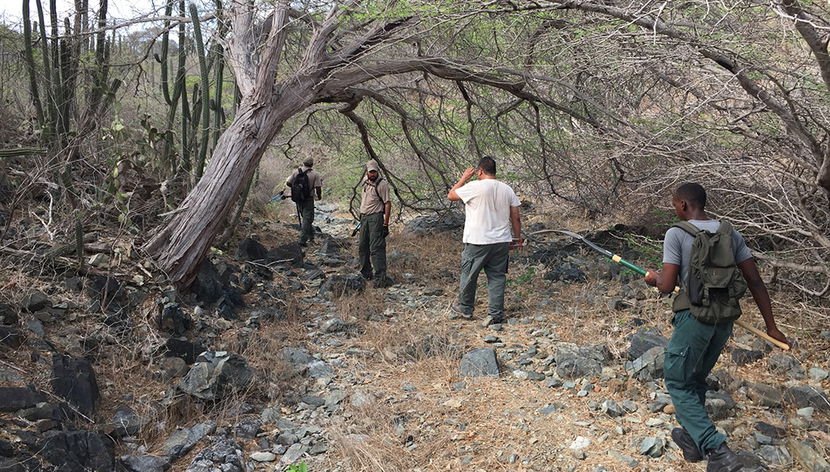 Arikok-Wanderung - Foto 3