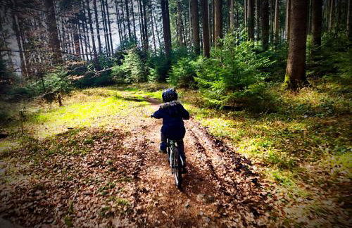 Tiny House 1 im schönen Allgäu mit großem Garten, Naturnah - Foto 3