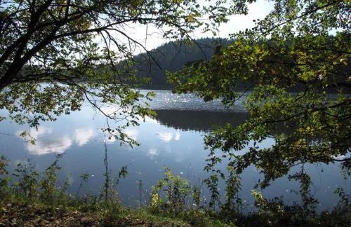 Ferienwohnung Penzkofer - Foto 34