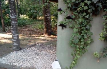 No Meio da Natureza - Turismo No Espaco Rural - Foto 34