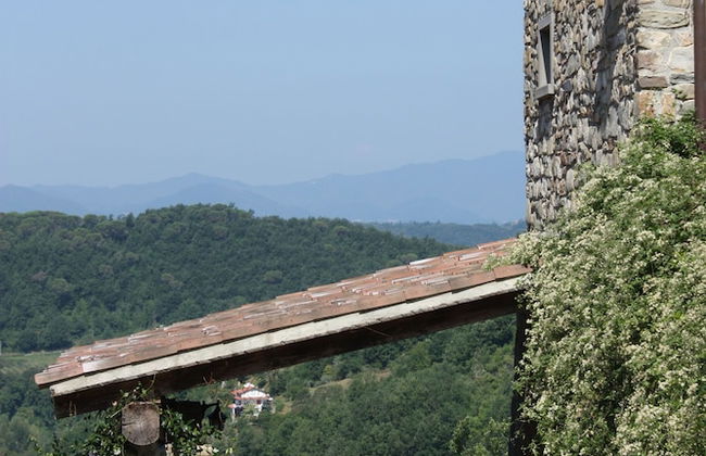 Le Chianine dei Tognoli - Foto 21