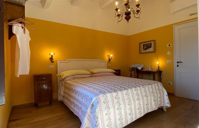 Podere Terreno alla Via della Volpaia - Foto 8