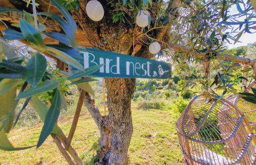 Quinta Vida Verde - Foto 11