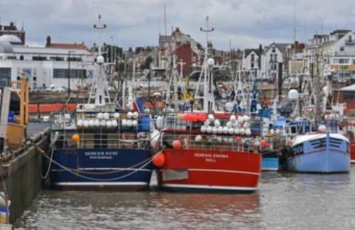 Jans chalet south shore Bridlington - Foto 26