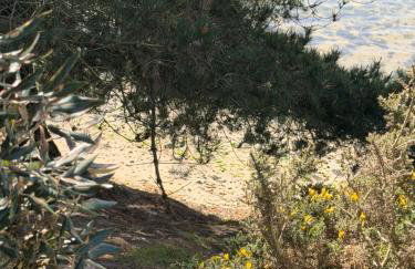 Family breaks at Rockley Park with Prosecco and a box of chocolates on arrival - Foto 3