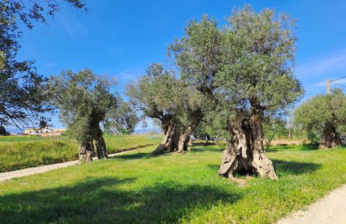 Can Marisch La Casa Pairal - Foto 47