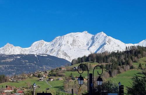 Demi-chalet de luxe avec piscine et vue Mont Blanc - FR-1-560-71 - Photo 9