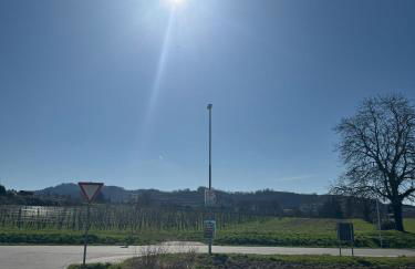 Kaiserstay - Sonne, Wein und Ruhe - Foto 22
