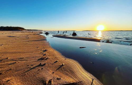 Owl Hoot Lake Retreat- Dock, beach & wooded haven! - Foto 12