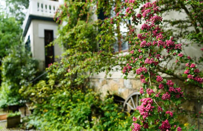 Villa Ariane - Foto 31