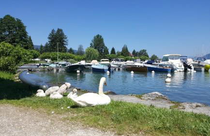 Au bout du lac d'Annecy - Foto 39