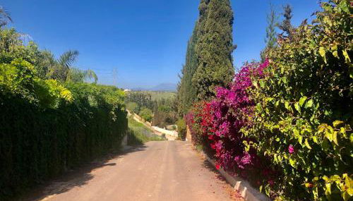 Casita Azahar Andalucia - Photo 2