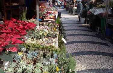 Casa da Annelies. Accessible holiday home - Foto 34