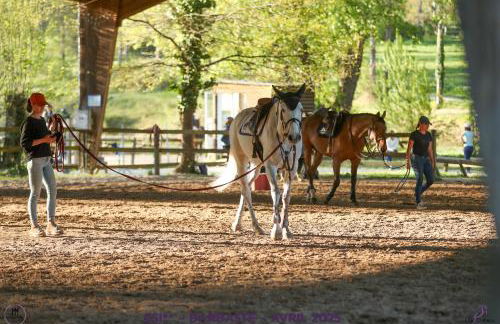 Gîte Seringa - Maison en pleine campagne - 5 minutes centre équestre - Foto 15