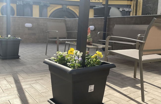 Terrazza Annunziata - Photo 41