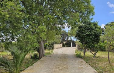 Es Molí de'n Palmer - Foto 31