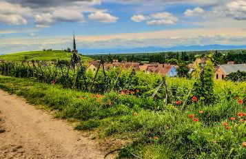 L'Adresse Studio Rempart sud - centre historique Eguisheim - Foto 11