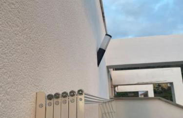 Musa Paradisiaca - Foto 31