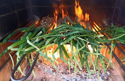MAS DEL VENT- Barbacoa, jardín, piscina privada y vistas a mar - Foto 7