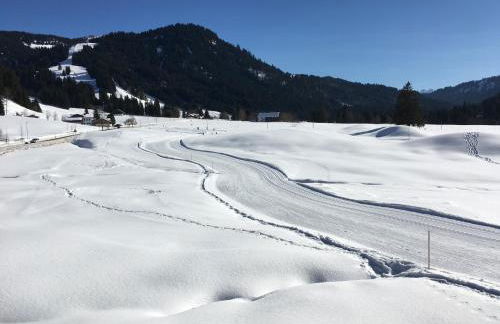 Ferienhof Wäldle - Wäldle 1 und Wäldle 2 mit Motorradvermietung - Photo 17