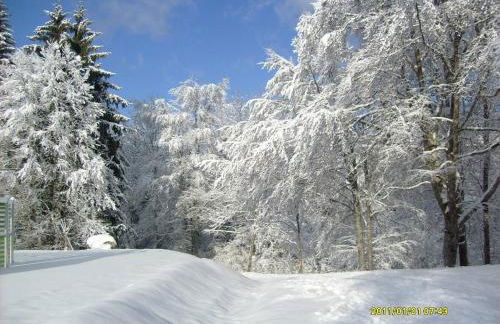 résidence Le Platé - Foto 15