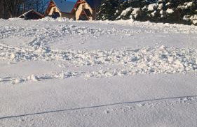 Agroturystyka u Doroty - Foto 8