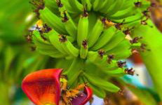 Knossos Sunrise - Foto 21