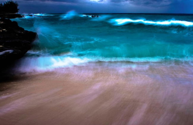 3 Suites Free Breakfast Steps to Beach - Photo 32