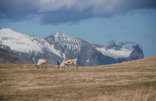 Stafafell Cottages - Foto 18